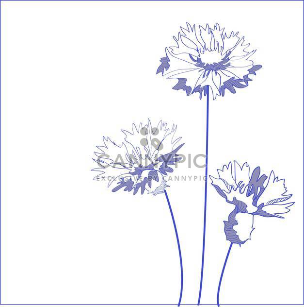 blue cornflower with text place on white background - vector gratuit #127395 