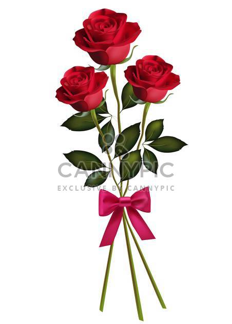 Beauty red roses with bow isolated on white background - vector gratuit #128315 