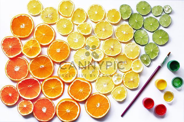 Set of citruses and paints on white background - image gratuit #136235 