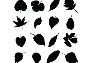Leaf Silhouettes Free Vector Graphics - бесплатный vector #145685