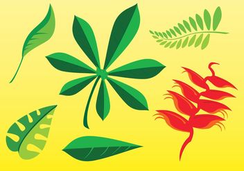 Free Plant Images - Free vector #145955