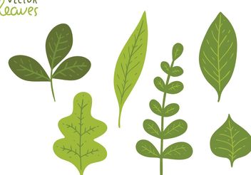 Free Green Leaves Vector Pack - Kostenloses vector #145975