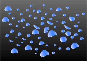 Water Drops Vector - vector #146055 gratis