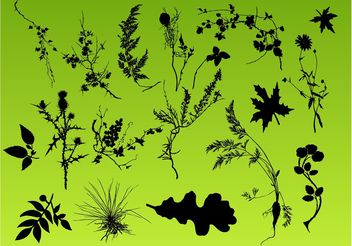 Plant Pack - Free vector #146305