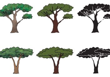 Free Acacia Tree Vector Series - бесплатный vector #152855