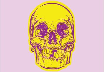 Colorful Skull - vector gratuit #156875 