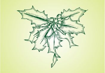 Vector Mistletoe - Kostenloses vector #157135