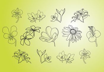 Vector Flower Illustrations - vector gratuit #157245 