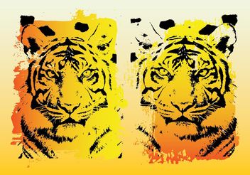 Tigers Vector Graphics - Free vector #160115