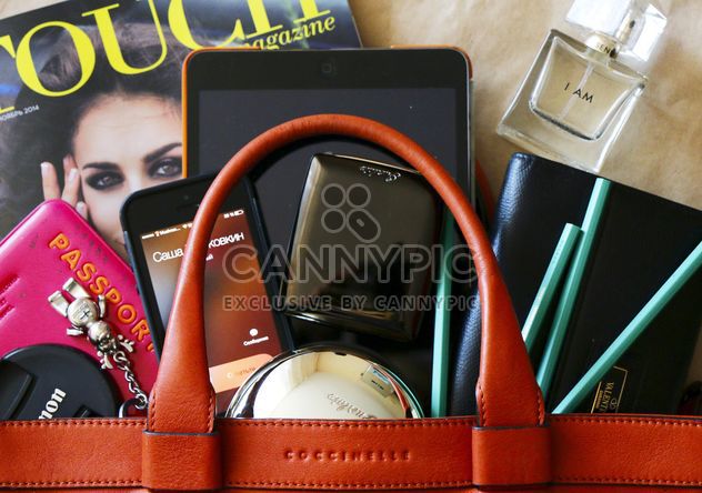 Typical Woman's Bag - Kostenloses image #183265