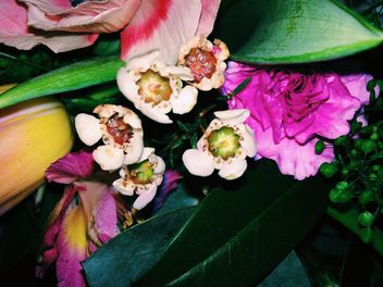 Bouquet of flowers closeup - image gratuit #184085 