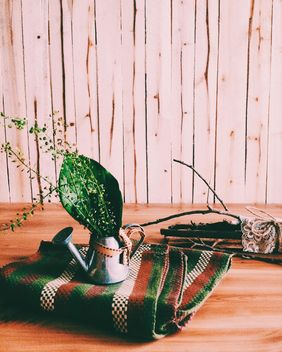 Green leaves in watering can on checkered plaid - бесплатный image #184135