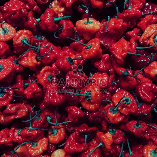 Red pepper - image #184265 gratis