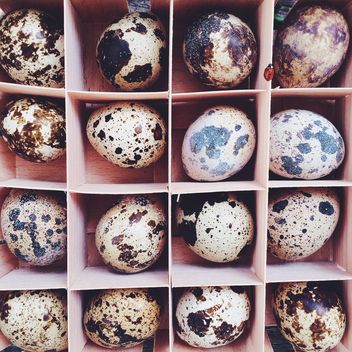 Quail Eggs - image gratuit #184545 