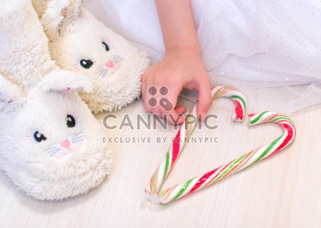 Warm bunny slippers - image gratuit #185815 