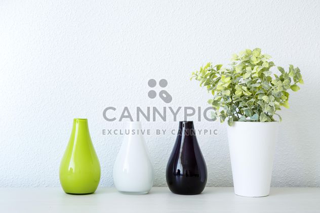 Plant in pot and vases - Free image #186295