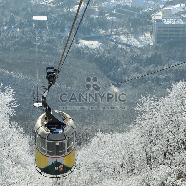 Car of ropeway over winter forest - image gratuit #186605 