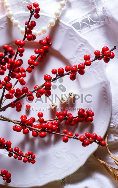 Twigs with red berries on plate - бесплатный image #187425