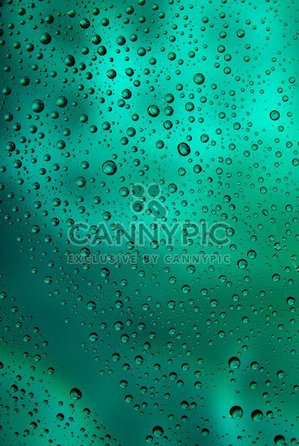 Water drops on green background - Free image #187665