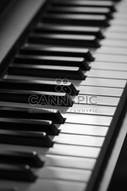 Piano keys in detail - Free image #187915