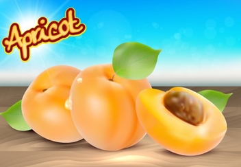Realistic Apricot Vector Background - Kostenloses vector #201745