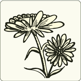Floral 82 - бесплатный vector #206535