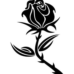 Black Rose Vector - vector #213045 gratis