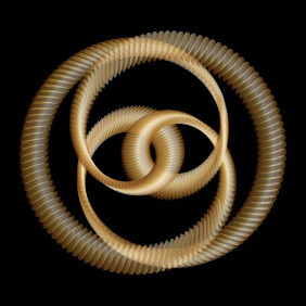 Golden Knot - Vector Art - Free vector #213265