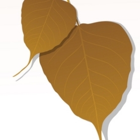 Close-up Of Peepal Leaf - Free vector #215545