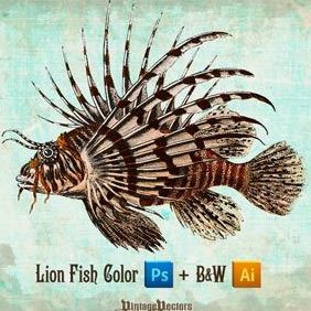 Lionfish Vector And Colored Image - vector gratuit #218265 