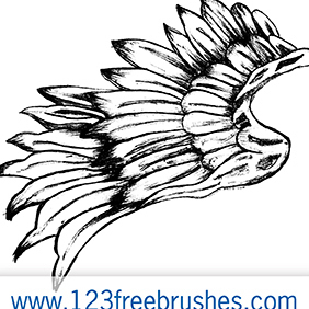 Hand Drawn Wings Vector + Brush - vector gratuit #222715 