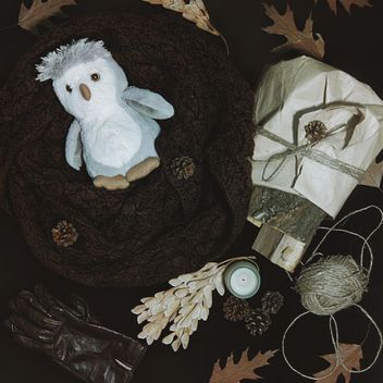 Warm scarf, gloves and dry leaves - image gratuit #272225 