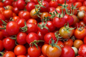Pile of tomatoes - image gratuit #274865 