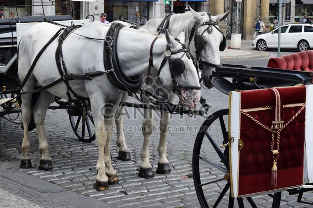 carriage drawn by two horses - Free image #275045
