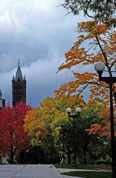 Autumn Arrives at Syracuse - image #278995 gratis