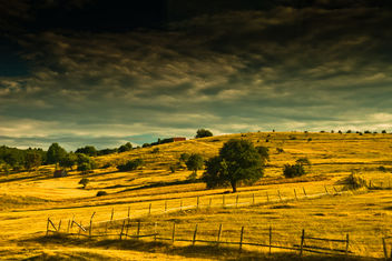 fields - 001 scenery - Free image #285335