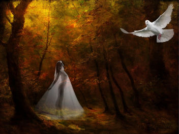 Angelical Forest - image gratuit #285865 