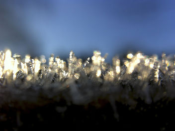 Ice Crystals In Morning Sunlight - image gratuit #287255 
