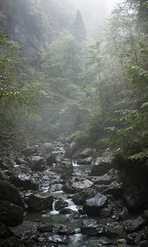 mountain stream 06 - Free image #290515