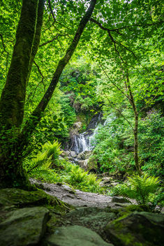 Torc waterfall, co. Kerry, Ireland - Free image #292235