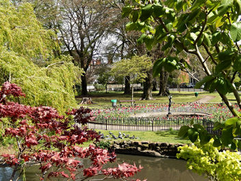 Thompsons Park, Cardiff - image gratuit #298395 