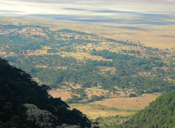 Tanzania (Ngorongoro) View of Ngrongoro conservation area from crater rim - Free image #300935