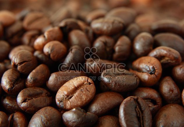 Roasted Coffee beans - image #302305 gratis