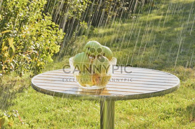 Summer rain and green apples - бесплатный image #303275