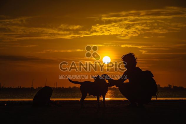 silhouette of man and dog at sunset - бесплатный image #303975