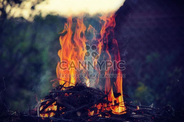 the bright flames - Free image #304735