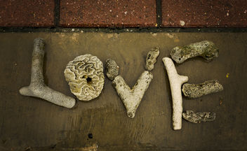 Love is in Bonaire - Free image #317885
