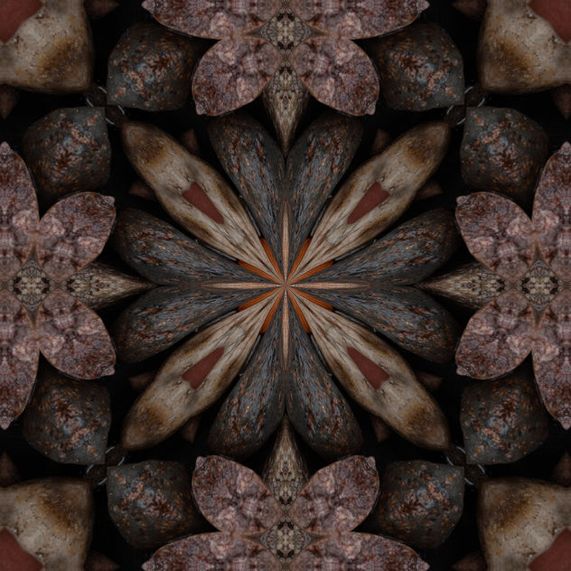 Rocks and Leaves - Kaleidoscope - Free image #321395