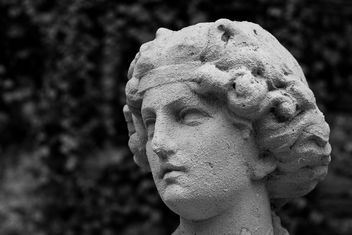 Moisturise Daily (Statue at Palladio's Teatro Olimpico), Vicenza - Free image #322825