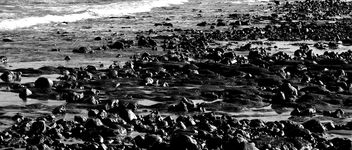 Seaford Beach Adelaide #dailyshoot - Free image #323915